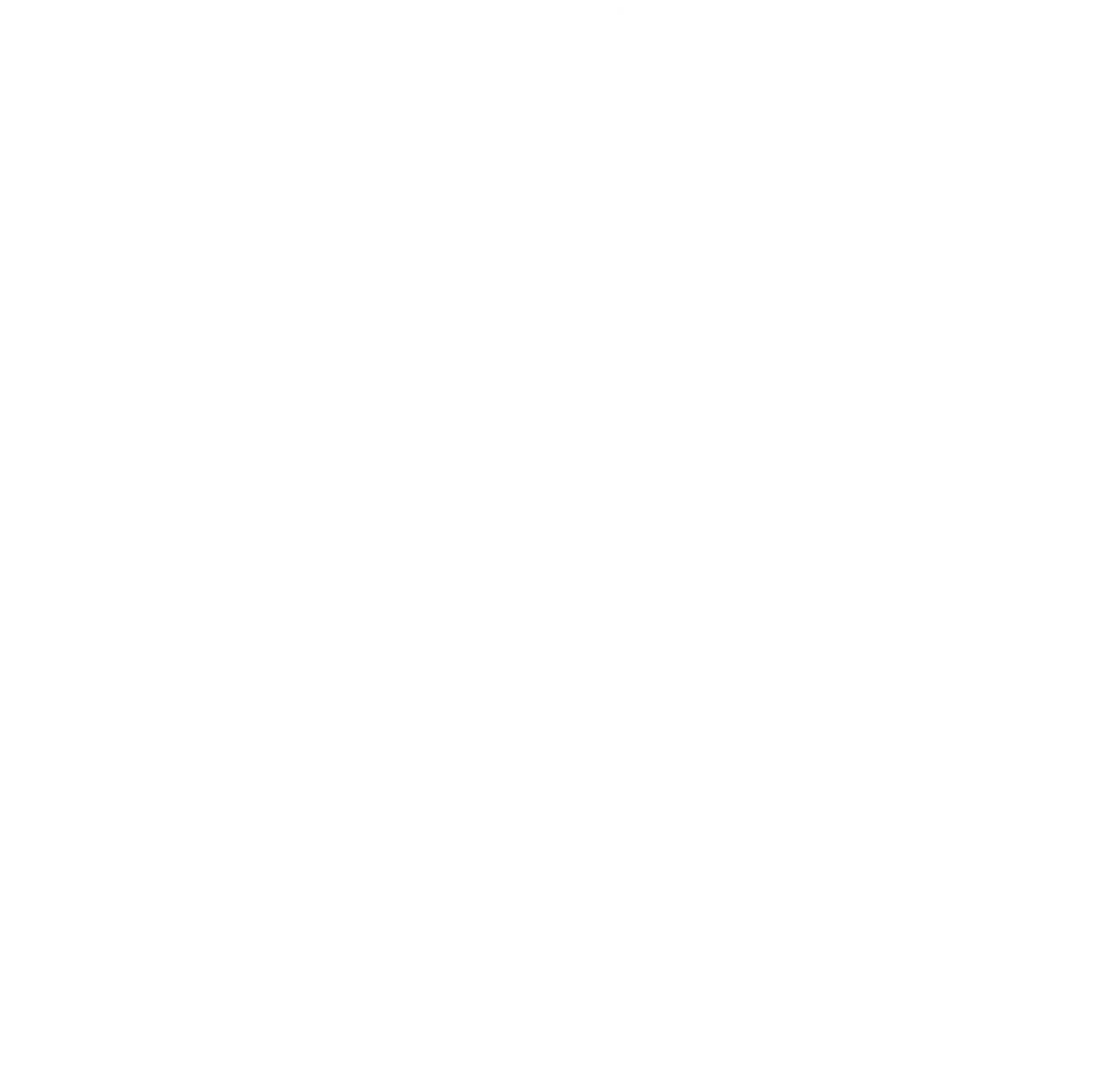 Facebook white logo